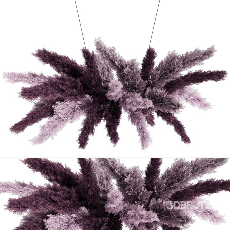 Ceiling Pampas Grass 02 Image 1