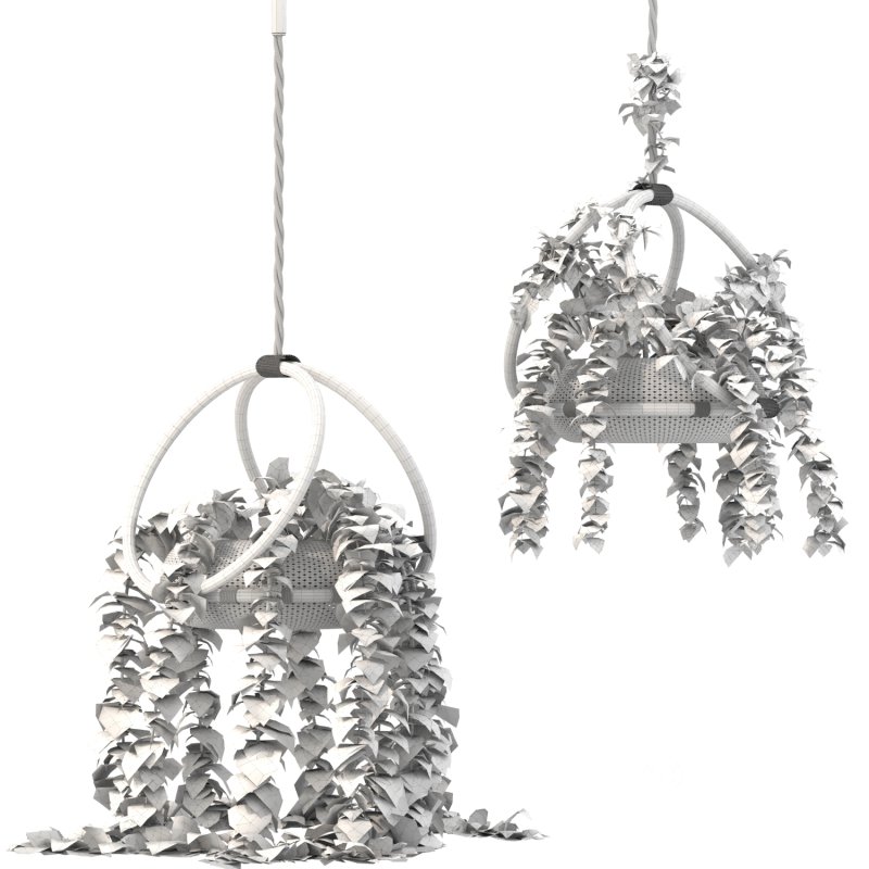 boho hanging plant 02 Image 5