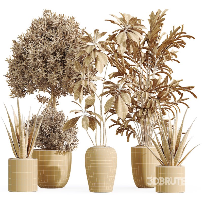 ntal value. The Mission Olive tree introduces Mediterranean elegance with silvery-green foliage and refined branching. Ficus Cyathistipula, the African Fig, adds a lush tropical presence with broad, glossy leaves. Aloe Vera provides striking architectural form with its upright, sculptural blades, while Dypsis Lutescens, the Areca Palm, brings soft feathery fronds and vibrant greenery. Together, these species create a harmonious ensemble ideal for modern interiors and high-end architectural visualizations. Image 13