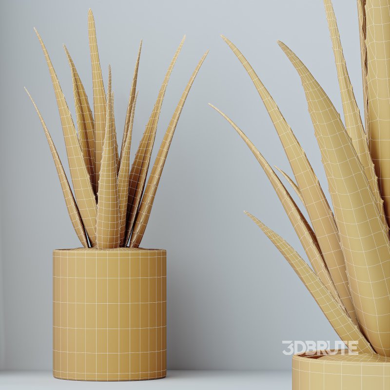 ntal value. The Mission Olive tree introduces Mediterranean elegance with silvery-green foliage and refined branching. Ficus Cyathistipula, the African Fig, adds a lush tropical presence with broad, glossy leaves. Aloe Vera provides striking architectural form with its upright, sculptural blades, while Dypsis Lutescens, the Areca Palm, brings soft feathery fronds and vibrant greenery. Together, these species create a harmonious ensemble ideal for modern interiors and high-end architectural visualizations. Image 12