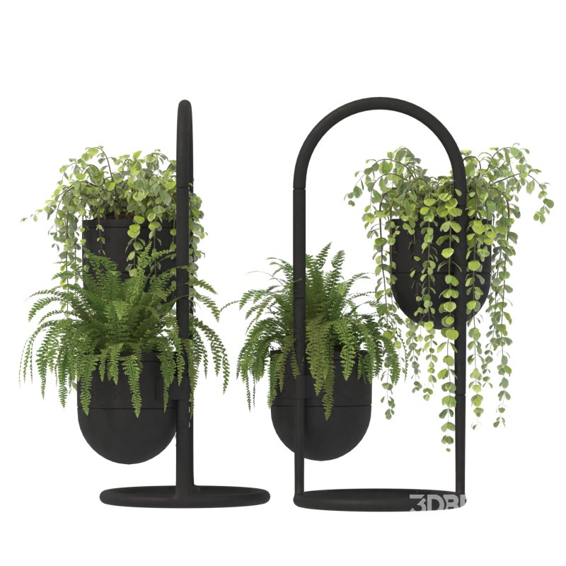 Metal Plant Set 01 Image 4