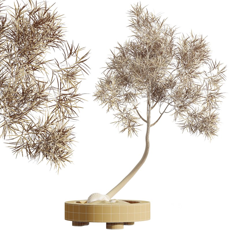 AV Indoor Plants Set 307 Mission Olive and Japandi Ficus Dracaena Marginata Image 7