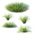 ntal grass admired for its fine, arching leaves in bright green tones with subtle golden accents. Native to East Asia, this species is widely used in landscaping, garden design, and modern architectural visualization for its versatility and elegant texture. Its soft, fountain-like form makes it ideal for borders, planters, or ground cover, adding a naturalistic touch to both outdoor and indoor scenes. Each clump is modeled with precision, showcasing detailed leaf geometry and lifelike shading for maximum realism in renders. - Thumbnail 2