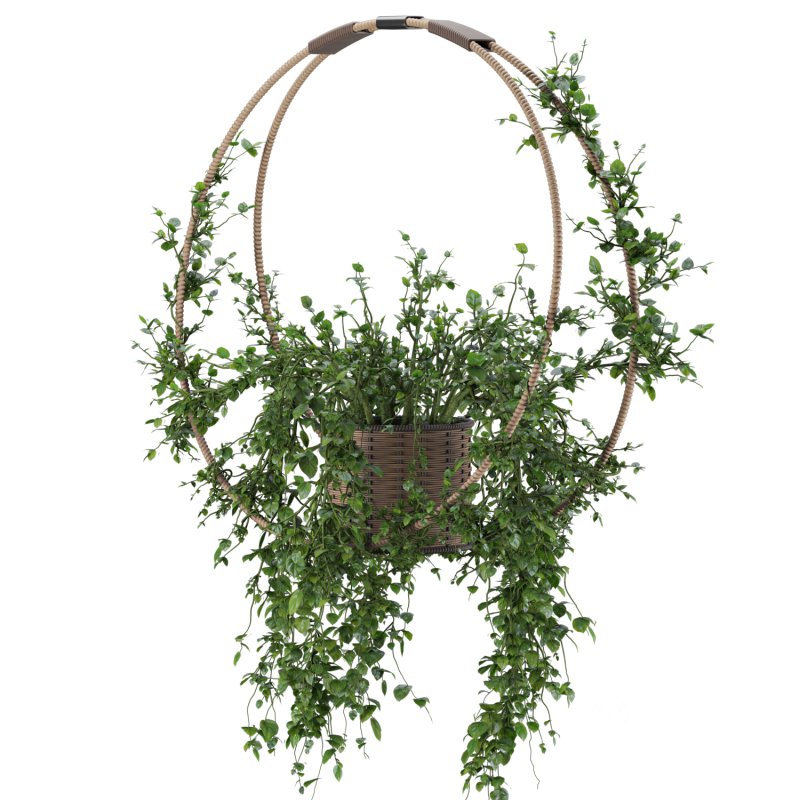 Hanging Wicker Pot Image 6