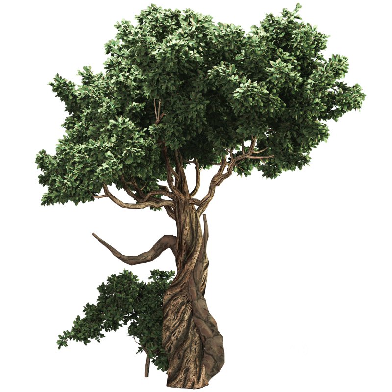 Jungle Tree and ivy plants 03 Image 2