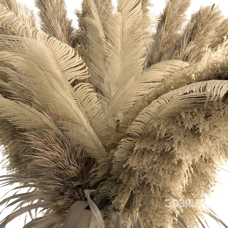 Minimal Pampas Bouquet in Pottery Vase 09 Image 2