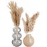 Minimal Pampas Bouquet in Glass Vase - Thumbnail 2