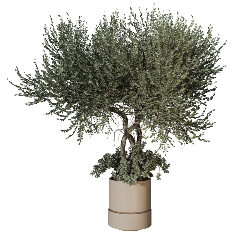 Decorative Indoor Plant and Ivy Branches in Pot Image 2