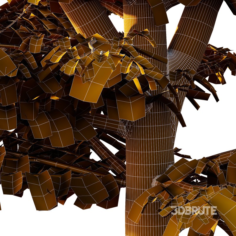 Different Trees 38 Image 2