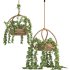 boho hanging plant 02 - Thumbnail 4