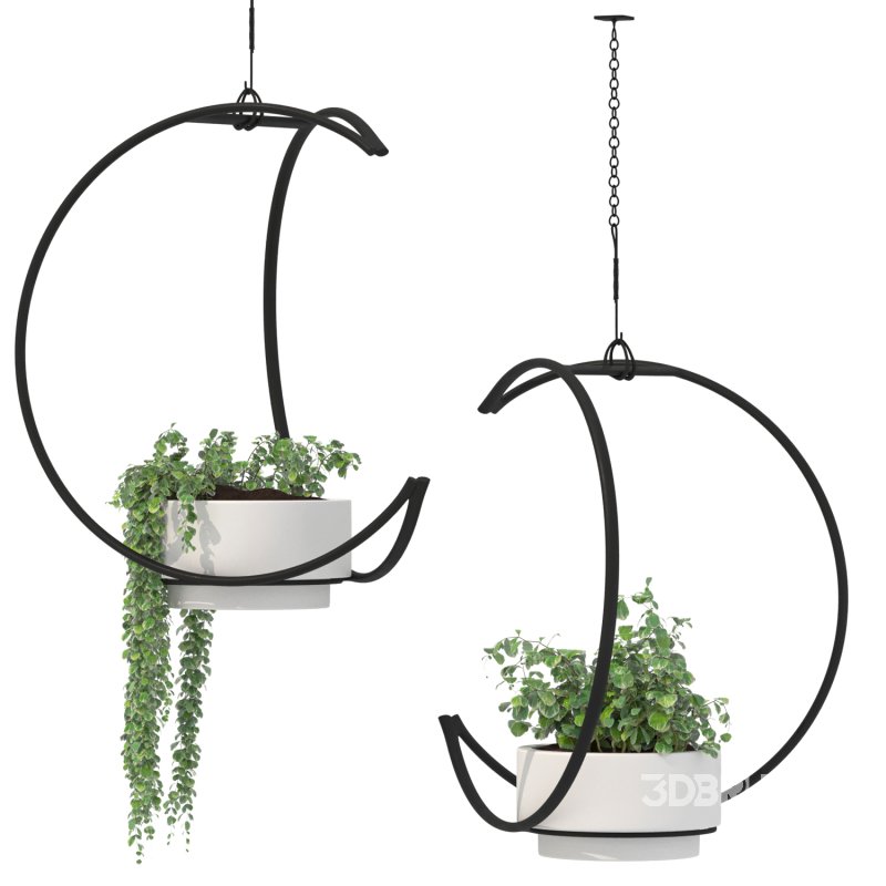 Metal Hanging Plants 04 Image 4