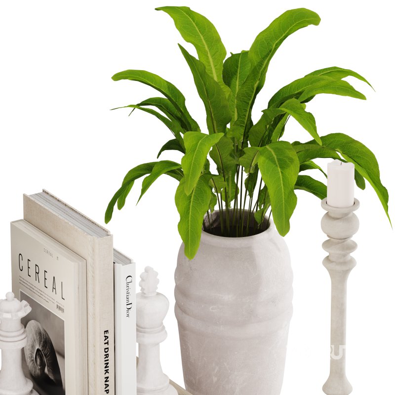 Modern and Minimal Decorative Set Image 5