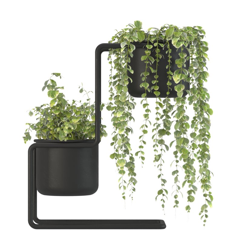 Plant Set 04 Image 1