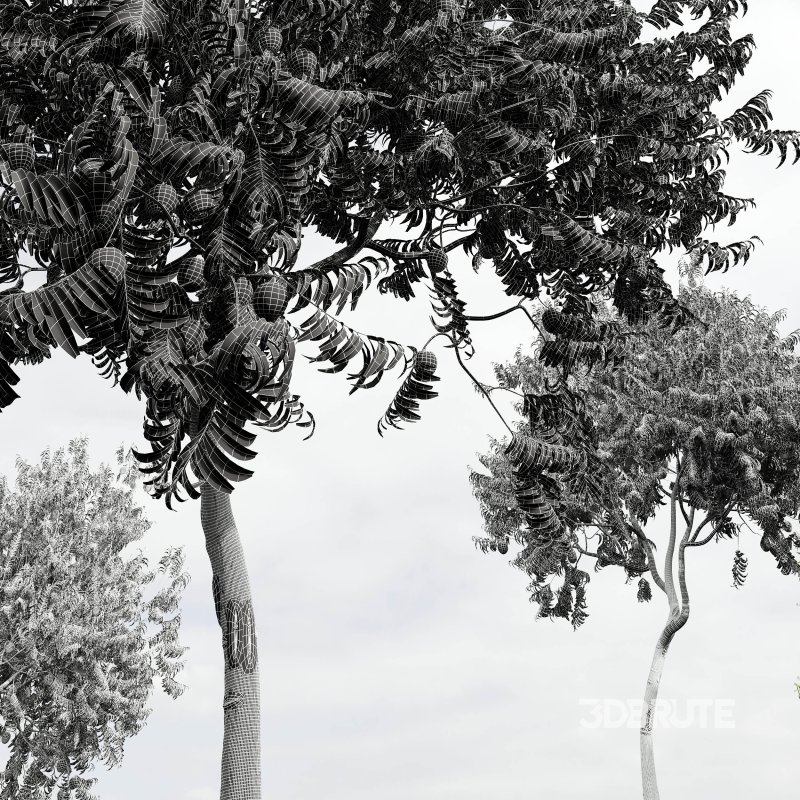 ntal charm. Image 14