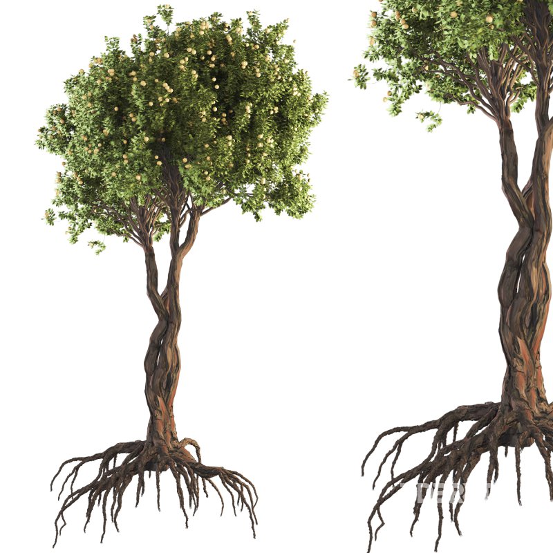 Jungle Fruit Tree and ivy plant Image 2