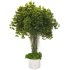 Decorative Indoor Plant and and Ivy Branches in Pot 02 - Thumbnail 2