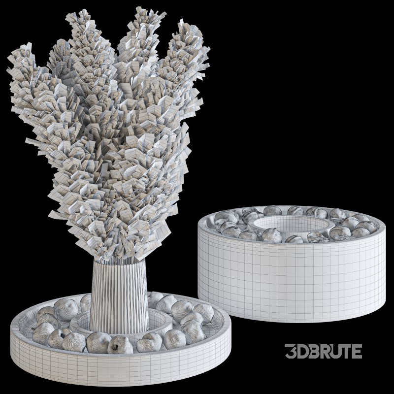 Figs and walnuts serving dish set with pampas Image 6