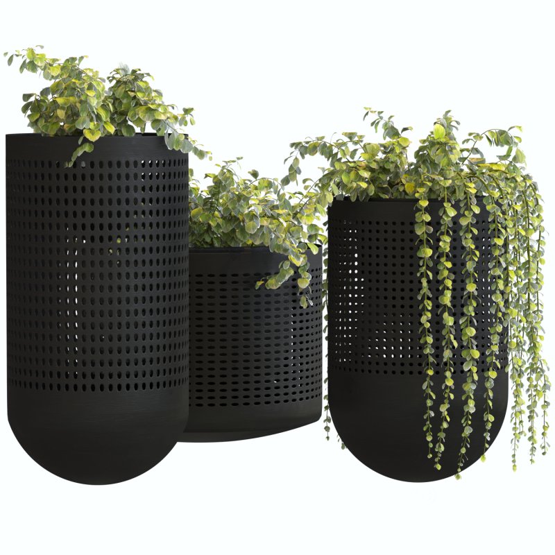 Metal Plant Set 02 Image 4