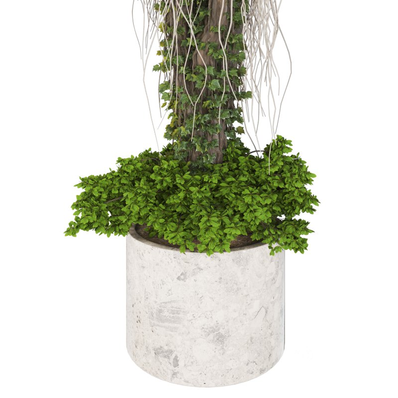 Decorative Indoor Plant and and Ivy Branches in Pot 02 Image 3