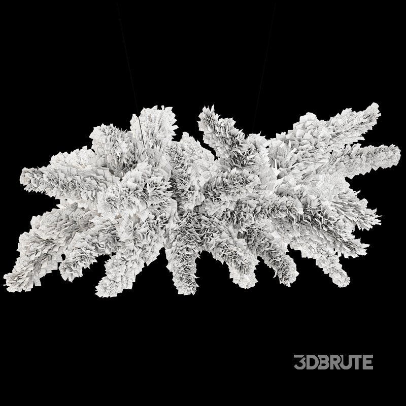 Ceiling Pampas Grass Image 1