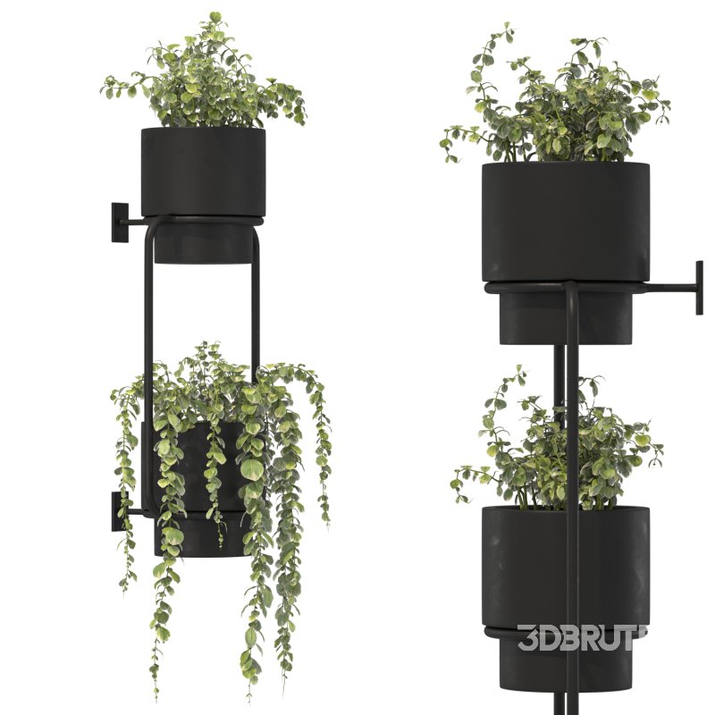 Metal Wall Mounted Planter Image 6