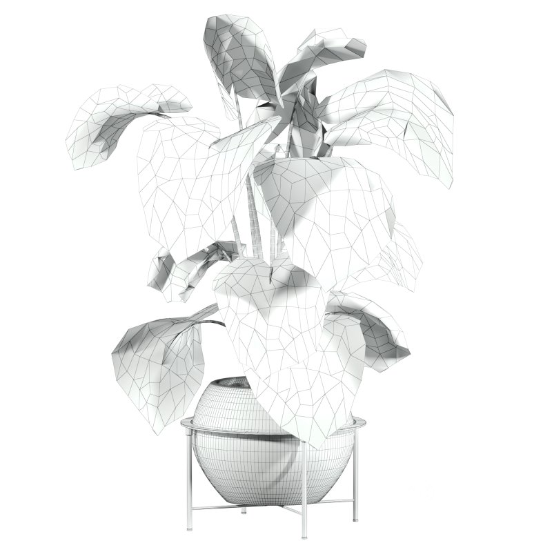 potted plant Image 3