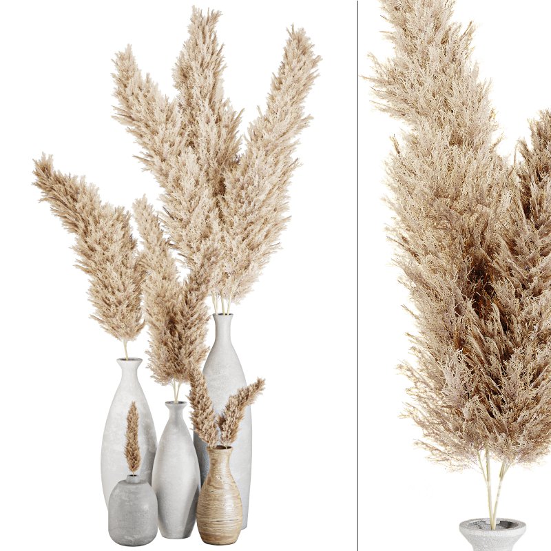 Indoor Papmas bouquet in vase collection 2 Image 1