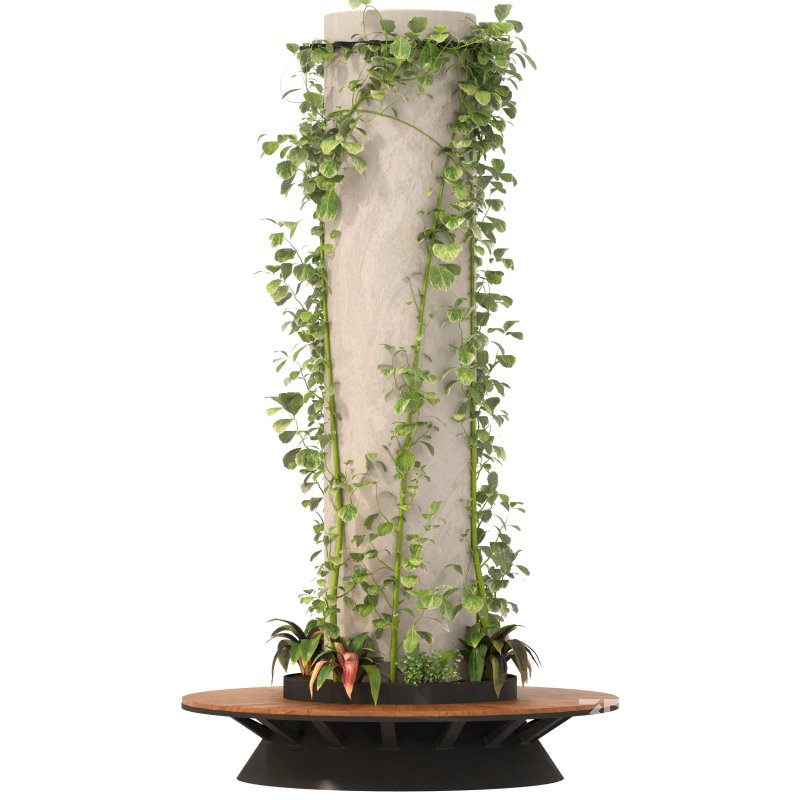 Ivy Column 02 Image 4