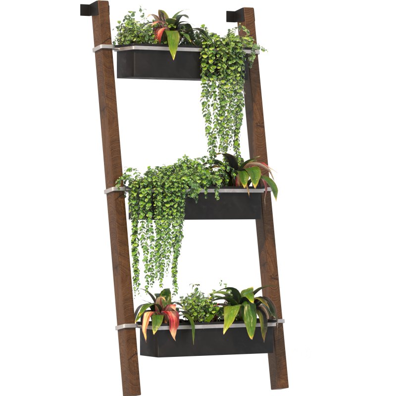 Plant Set 05 Image 4