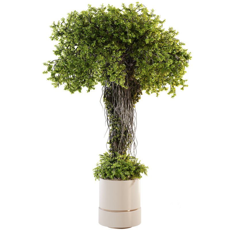 Ivy Branches in Cement Pot Image 2