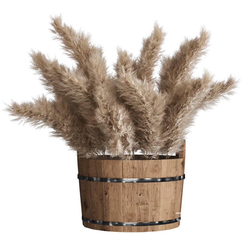 Light Cream Color Pampas Collection Set 23 Image 1