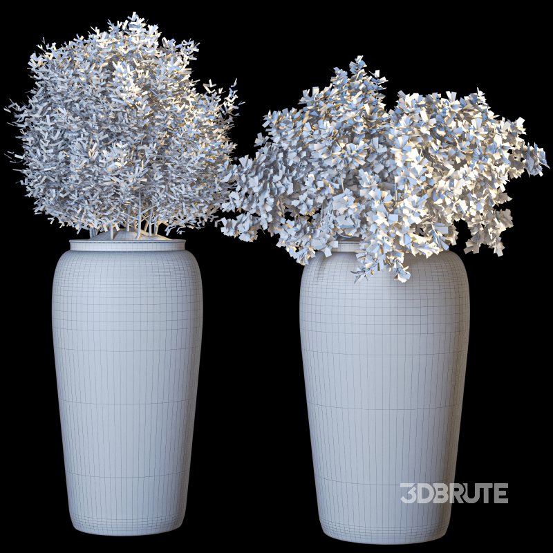 Outdoor Plant 010 Image 6