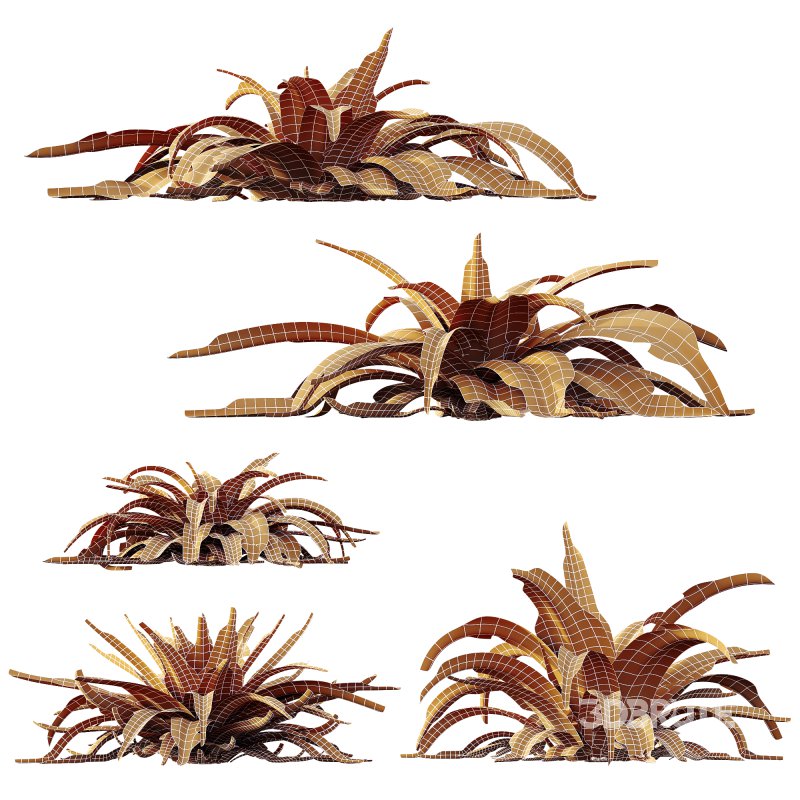 ntal plant admired for its wide, sword-like leaves in vibrant green shades. Native to woodland and shaded habitats, Carex Platyphylla is valued for its lush texture and architectural form, while the Astelia influence enhances its decorative appeal with broad foliage and striking volume. The elegant rosette structure makes this plant suitable for borders, garden beds, or modern planters, providing both softness and a bold visual statement. Modeled with precision and enhanced by 4K textures, this asset ensures high realism and versatility for both indoor and outdoor architectural visualizations. Image 4