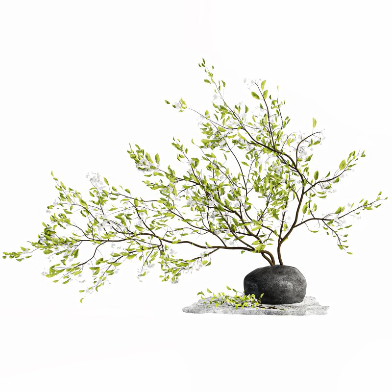 Bouquet Plant Image 1