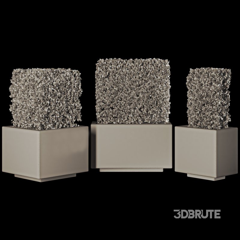 Hedge Set 01 Image 7