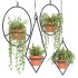 Boho Hanging Plants 03 - Thumbnail 4