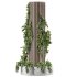 Ivy column - Thumbnail 2