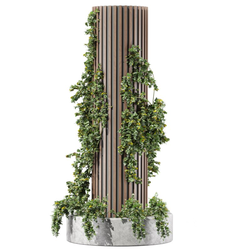 Ivy column Image 2