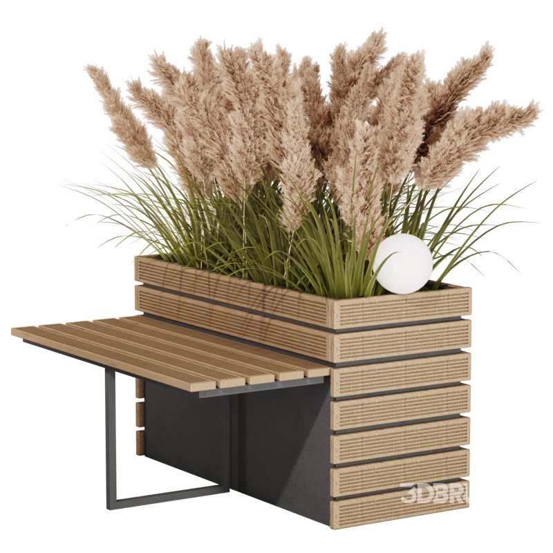 Outdoor Pampas And Grass Plants Set Image 1