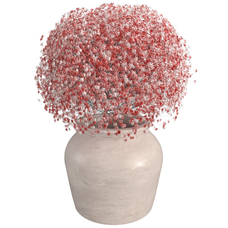 Decorative Set with Apples and Flowers Image 4