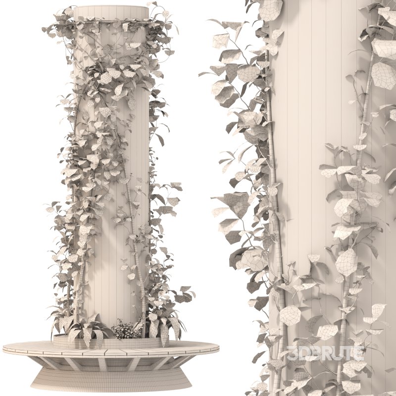 Ivy Column 02 Image 6