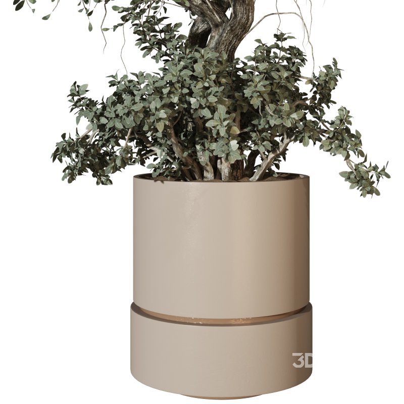 Decorative Indoor Plant and Ivy Branches in Pot Image 3