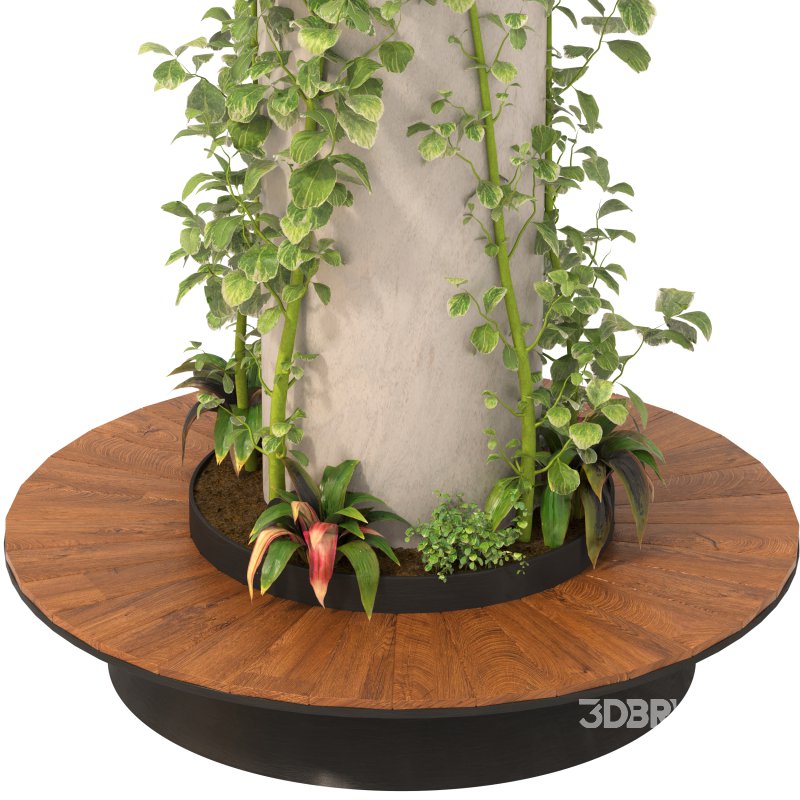 Ivy Column 02 Image 8