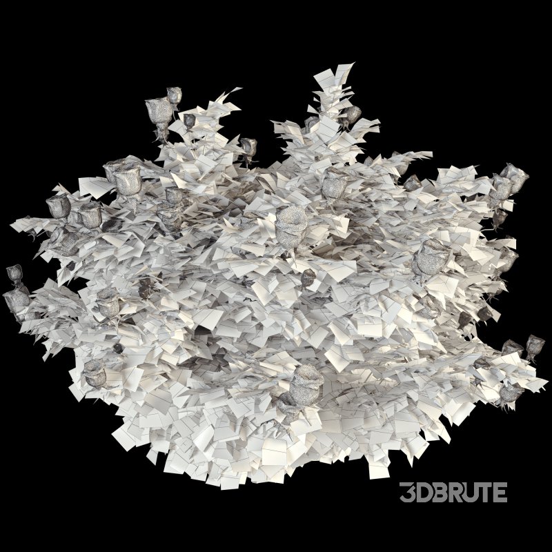 Rose Plant Set 015 Image 5