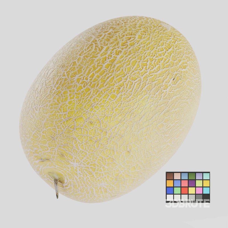 Melon Image 1