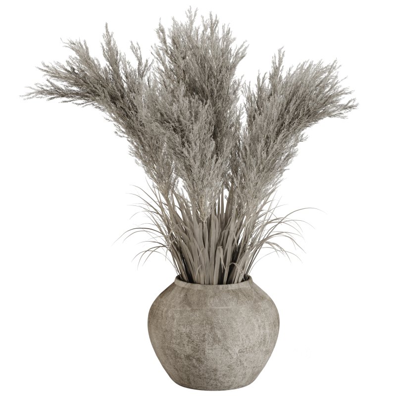 Minimal Pampas Bouquet in Pottery Vase 02 Image 2