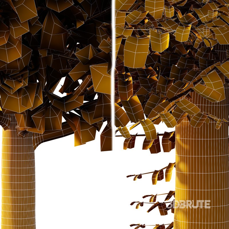 Different Trees 37 Image 4