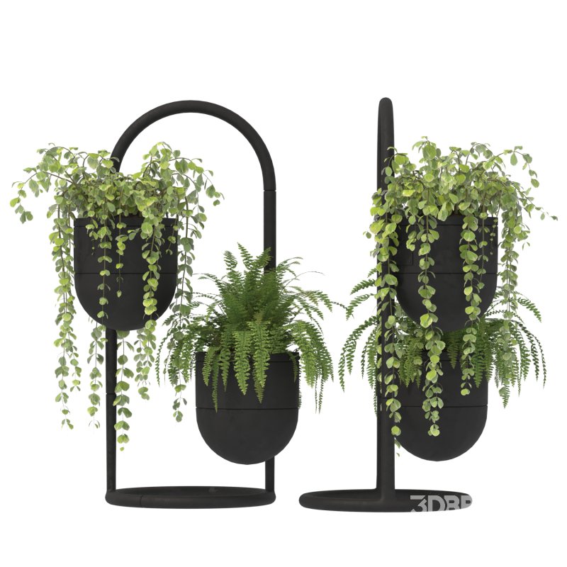 Metal Plant Set 01 Image 3