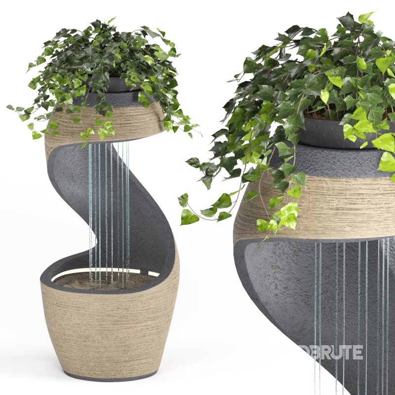 Indoor Plant and Fountains Image 5