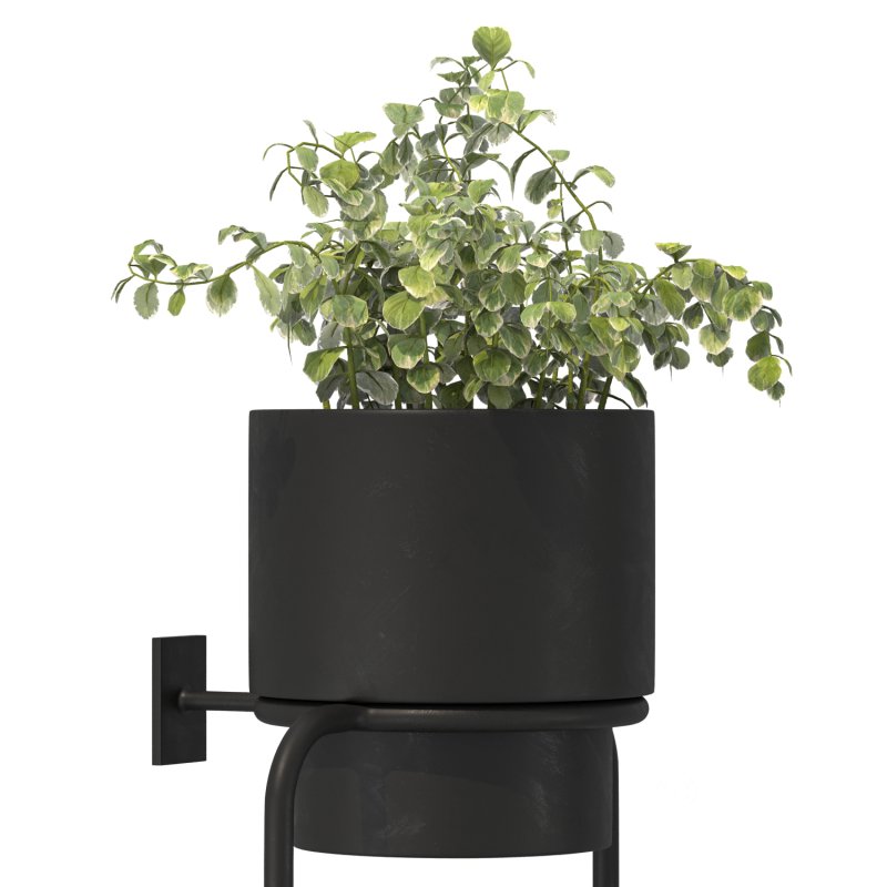 Metal Wall Mounted Planter Image 4
